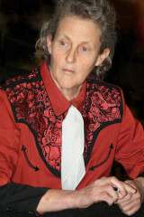 Temple Grandin quiz
