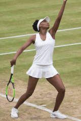Venus Williams quiz